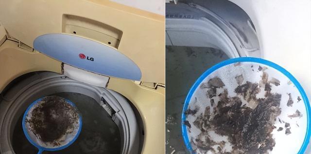 如何彻底清洗洗衣机（保障洗衣机清洁）