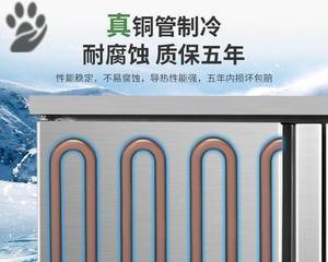 冰柜铜管漏气问题的解决方法（快速修复冰柜铜管漏气的有效措施）