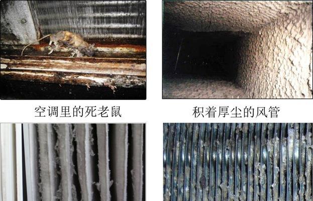 解决中央空调老鼠问题的有效方法（保障室内空气质量与健康）