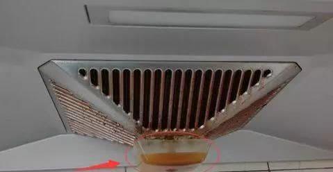 油烟机上有虫子，该如何处理（虫子滋生原因）