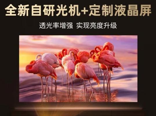 如何选择和安装家用投影仪（投影仪选择与安装方法详解）